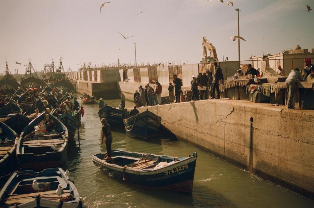 Aux Terrasses d'Essaouira